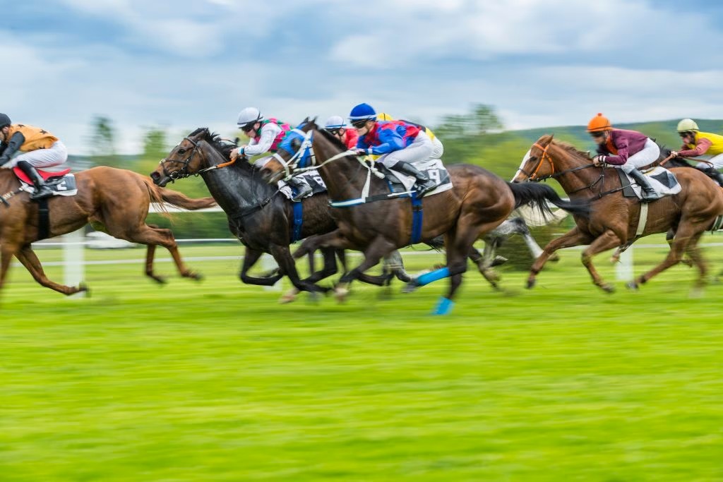 How Horse Betting Exchange is Revolutionizing Betting on Horses